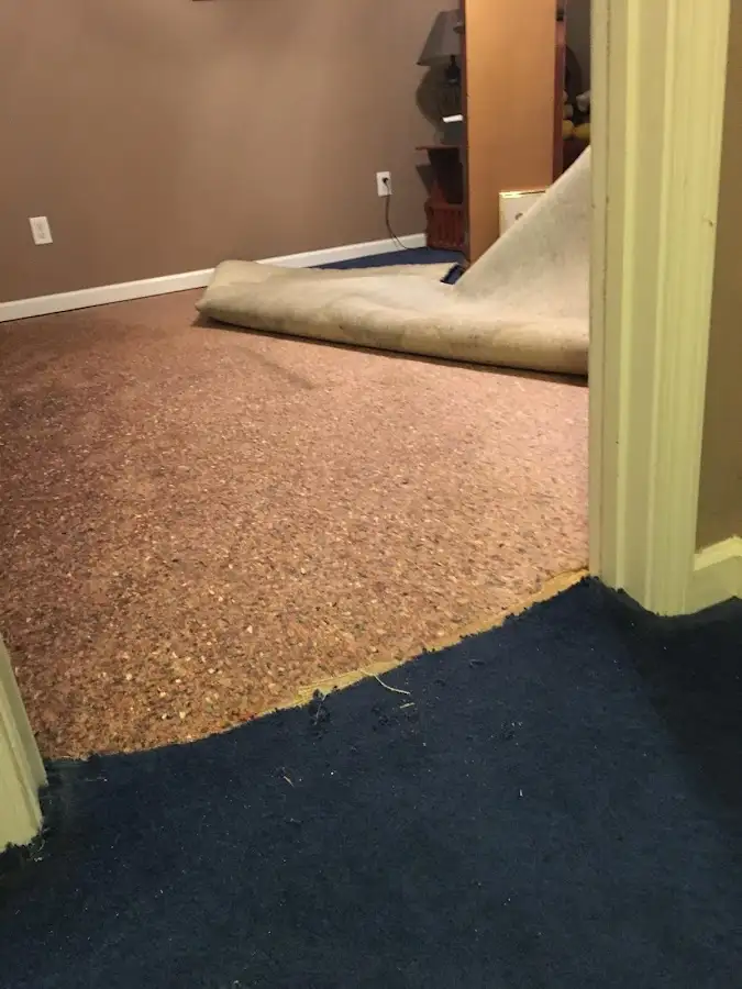 Carpet pad removal revealing water damage during Drying & Dehumidification in Tamaqua
