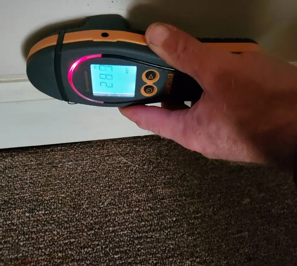 Moisture detection at baseboard during Burst Pipe Cleanup in Tamaqua